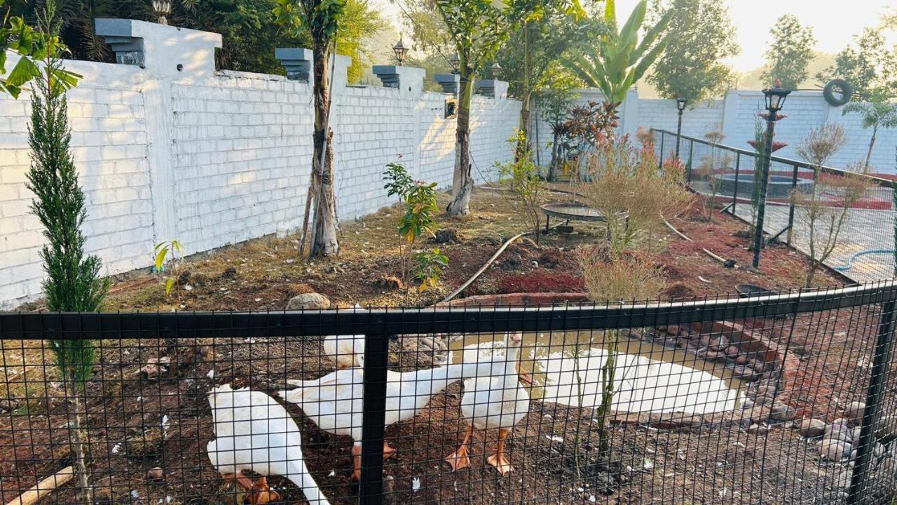Fun O Farm Luxury Farm Villa Indore Luaran gambar